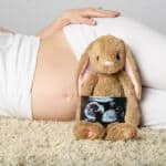 Heartbeat Animals 10 Heartbeat animal