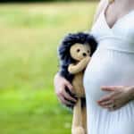 Heartbeat Animals 14 Heartbeat animal