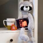 Heartbeat Animals 15 Heartbeat animal