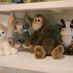 Our Studio 23 knit4dultrasound studio 6_ElectiveUltrasound_GA